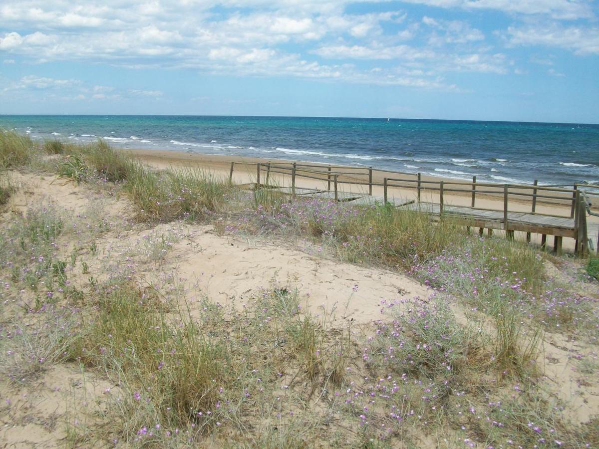 Roderic - Apartamento Junto Al Mar Олива Экстерьер фото